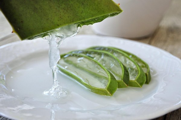 Gel d'aloe vera à boire : bienfaits et conseils pour une santé optimale